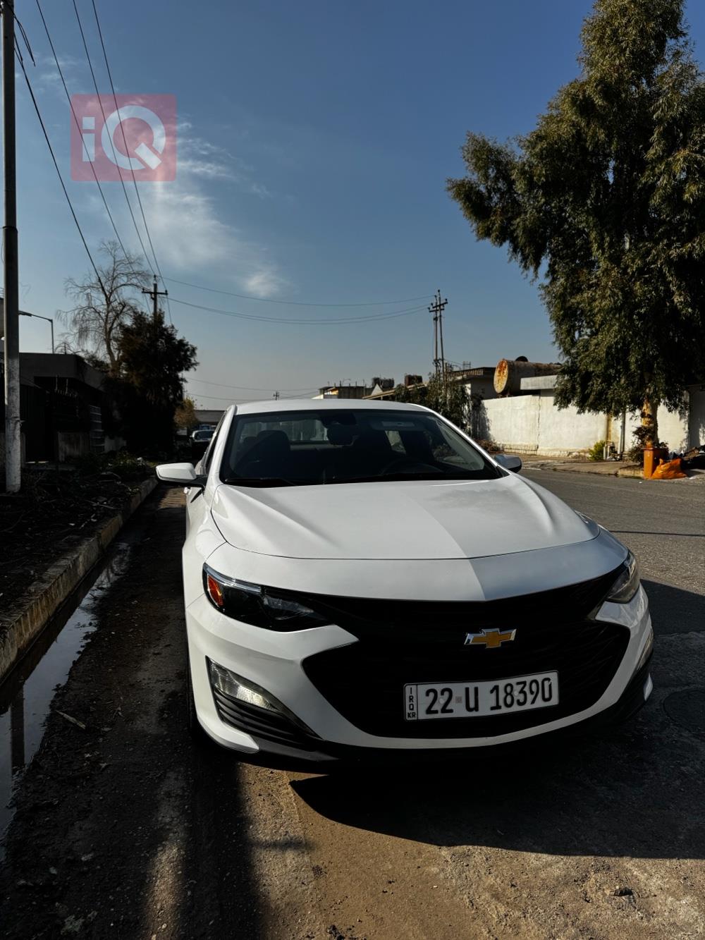 شيفروليه ماليبو